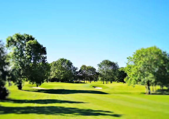 Image Roganstown Golf